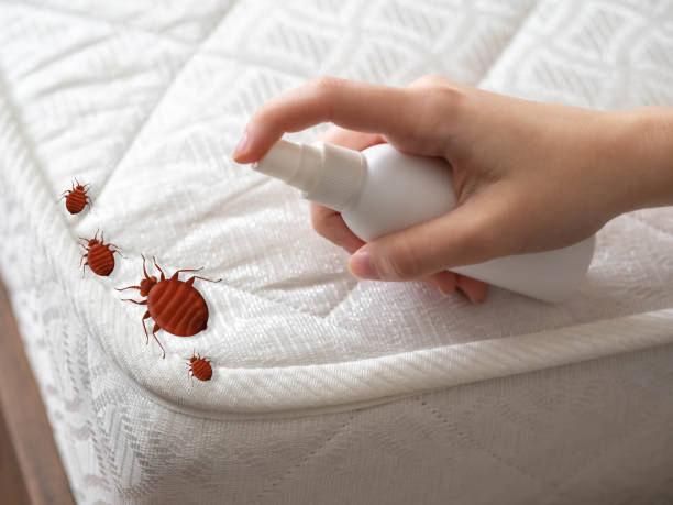 Best Pest Control Near Me in Ladson, SC