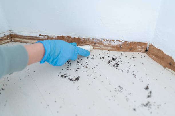 Best Commercial Pest Control Services  in Ladson, SC