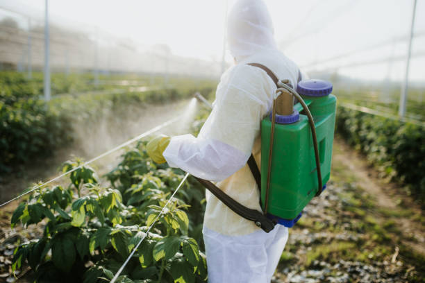 Best Pest Removal Services  in Ladson, SC